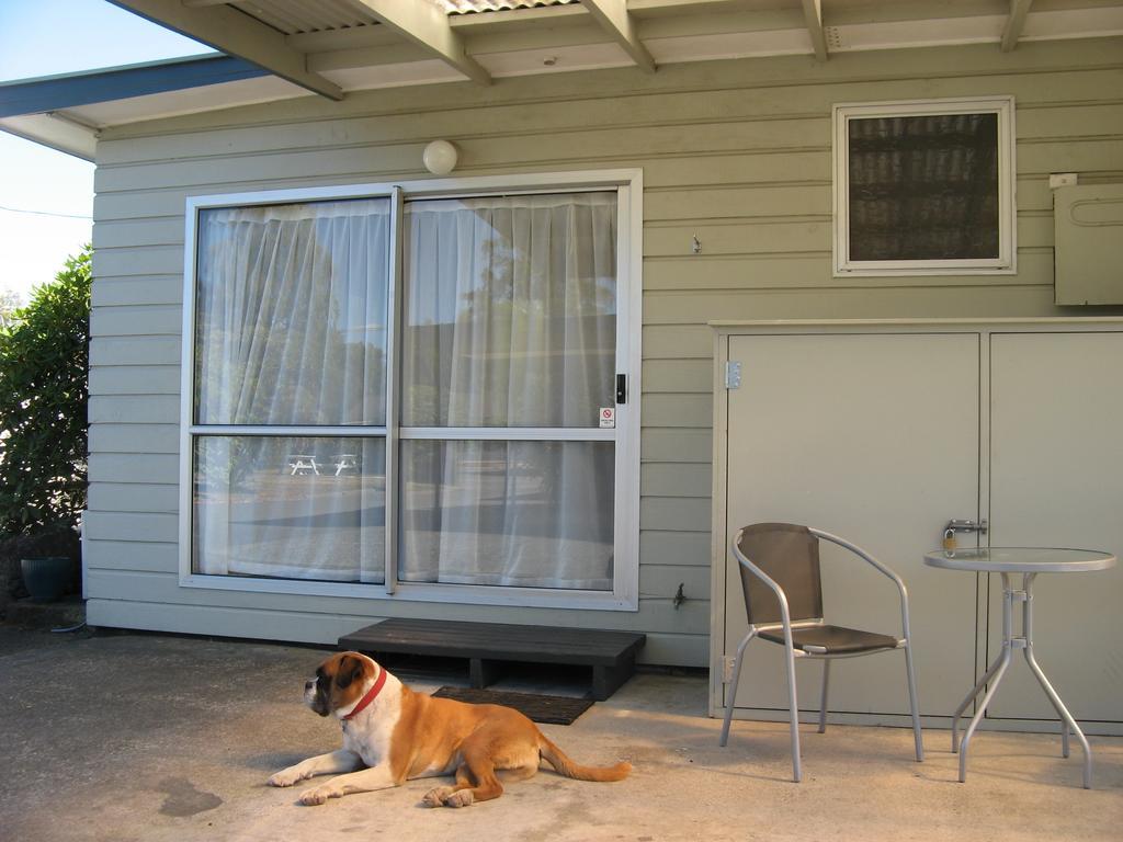 Tongariro River Motel Turangi Quarto foto